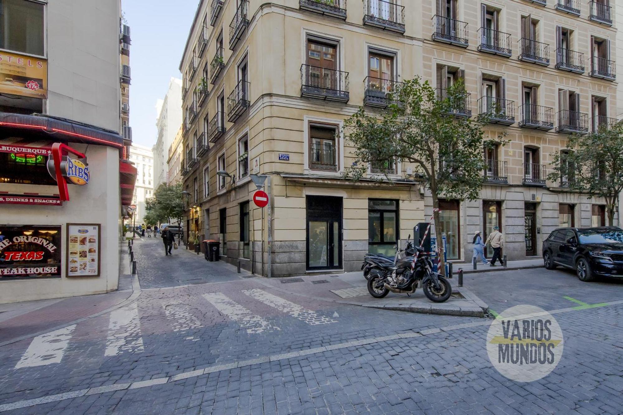 Deluxe Apt En El Centro De Madrid Para 9Pax E3 Exteriör bild